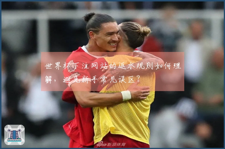 世界杯下注网站的返水规则如何理解，避免新手常见误区？