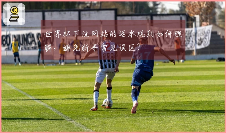 世界杯下注网站的返水规则如何理解，避免新手常见误区？