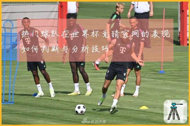 热门球队在世界杯竞猜官网的表现如何判断与分析技巧