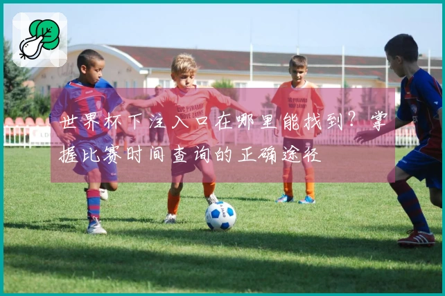 世界杯下注入口在哪里能找到？掌握比赛时间查询的正确途径