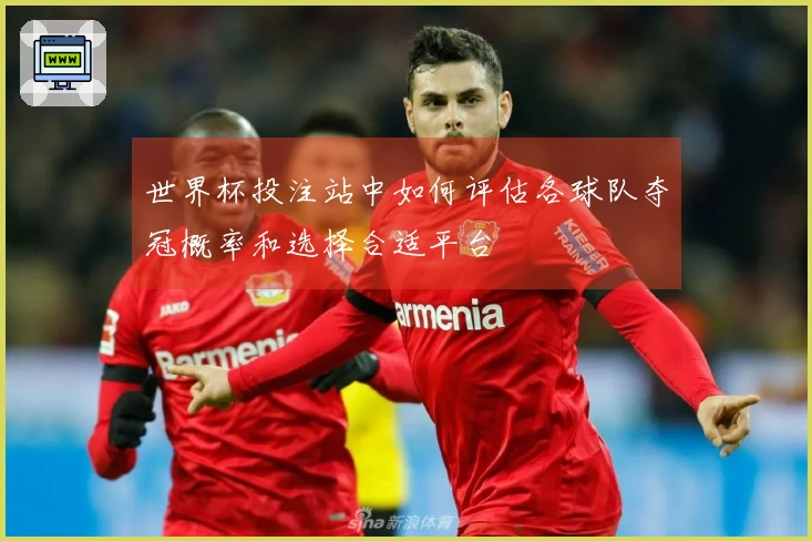 世界杯投注站中如何评估各球队夺冠概率和选择合适平台